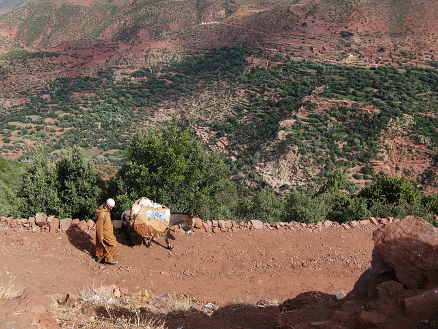 Vandring i Marokkos bjerge